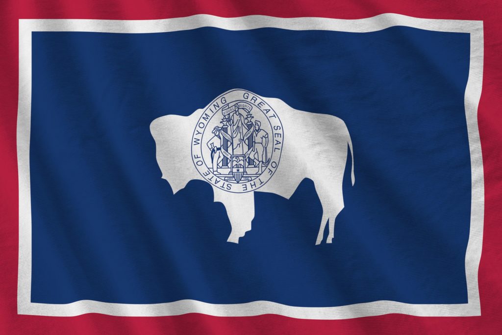 Wyoming state flag
