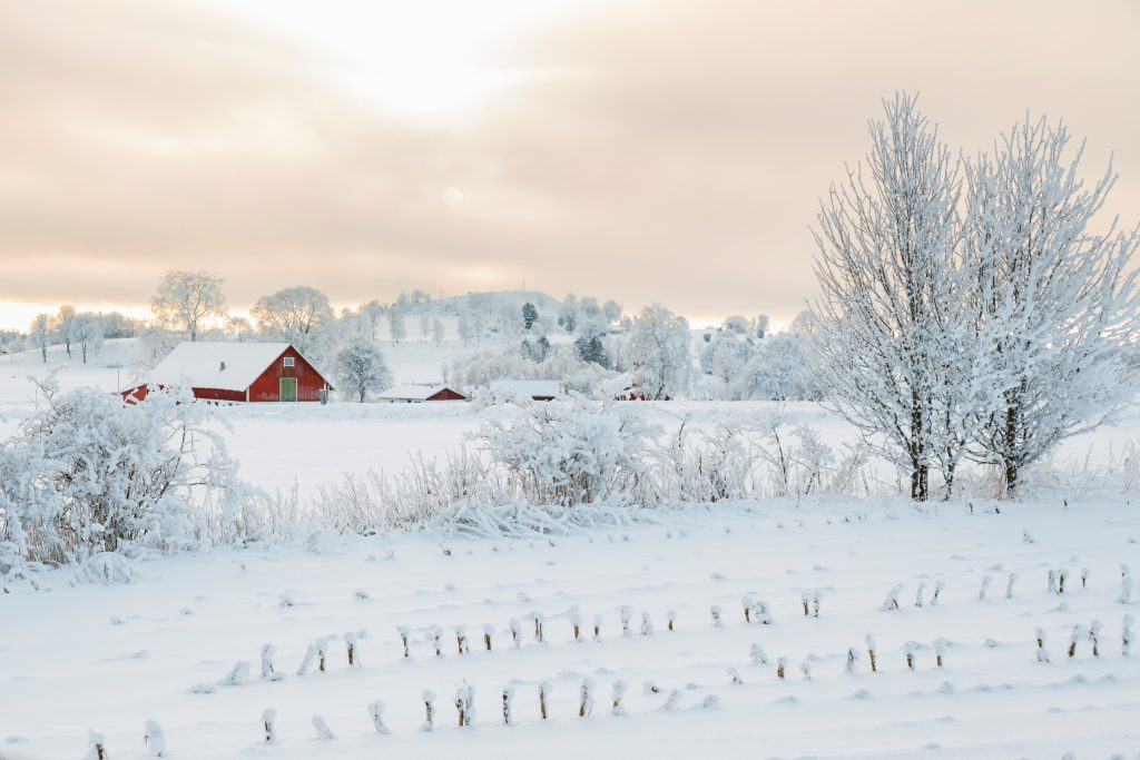 A barn in winter
